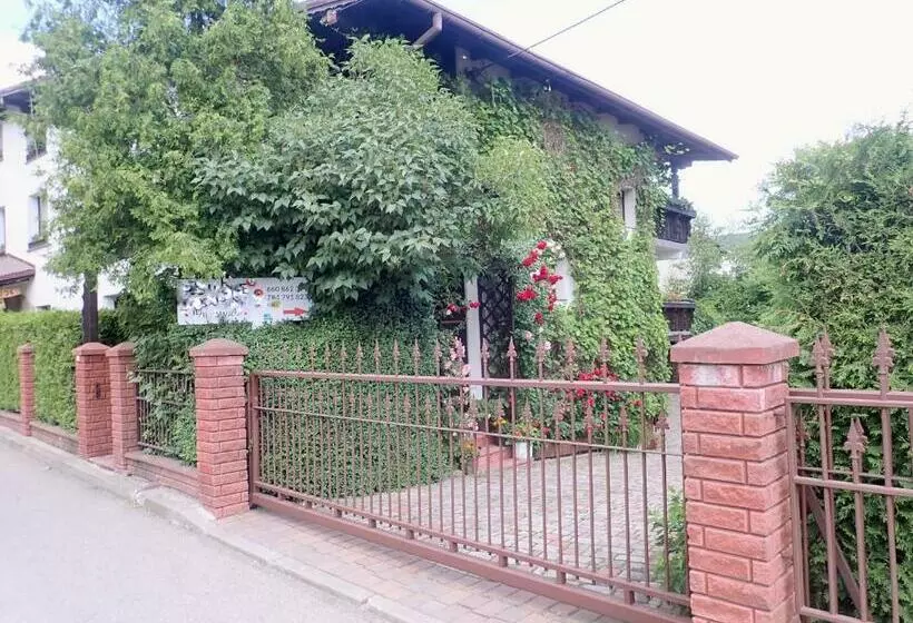 ペンション Pokoje Gościnne W Centrum