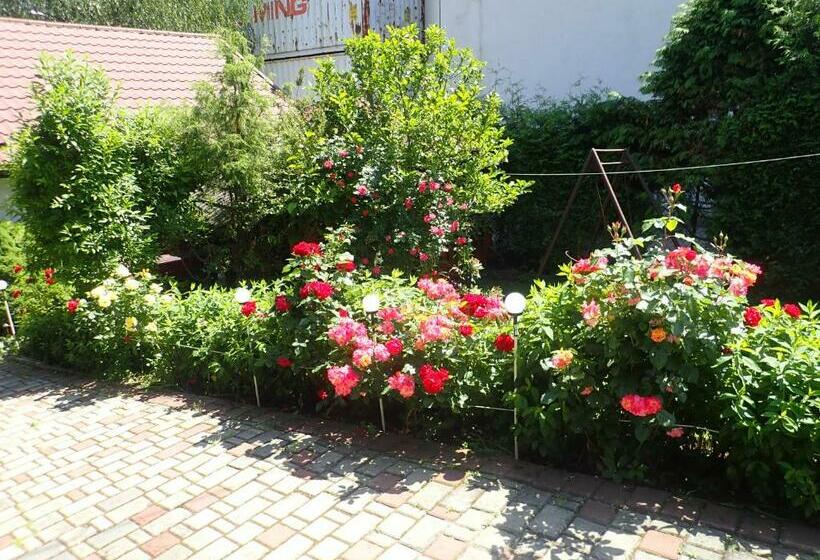 بنسيون Pokoje Gościnne W Centrum