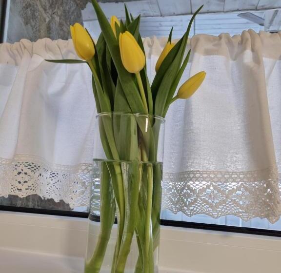 פנסיון Snow Queen