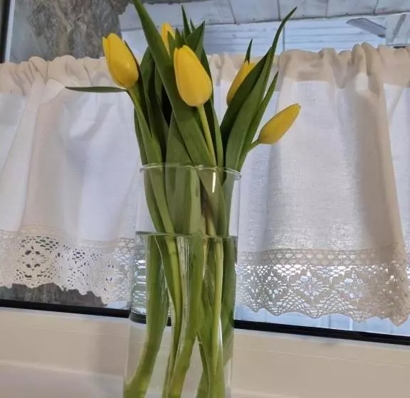 پانسیون Snow Queen