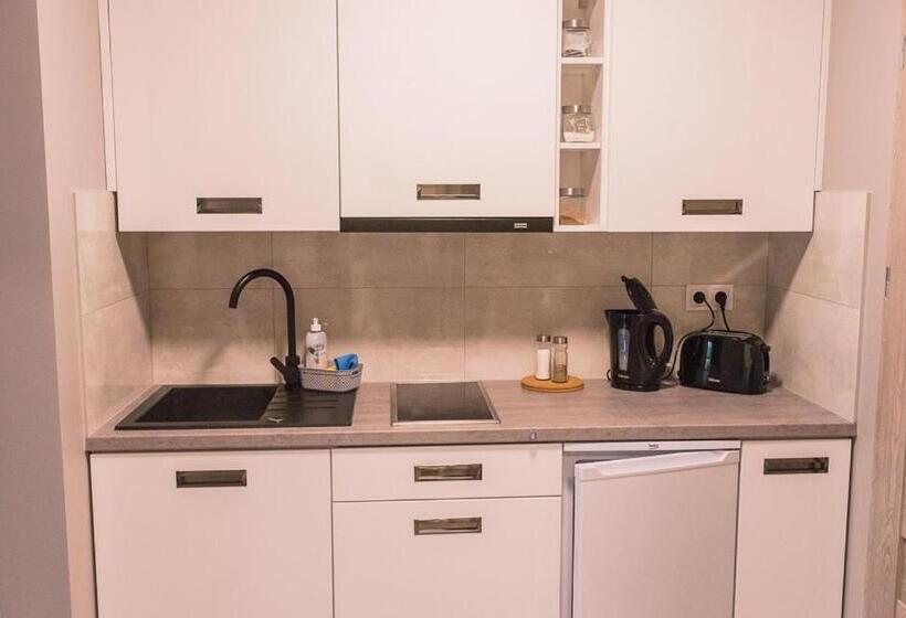 펜션 Willa Borowski