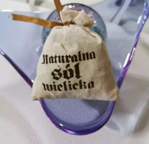 Apartament Solny Centrum Wieliczka 11