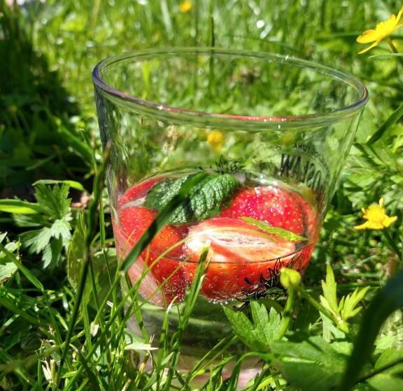 ベッドアンドブレックファースト Agroturystyka Cold Sea