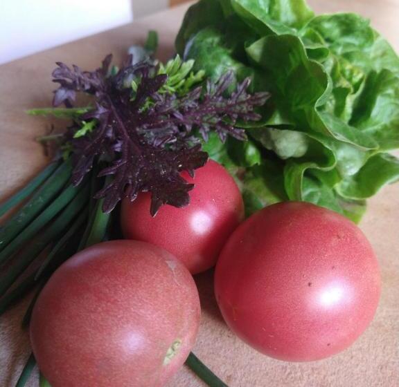 ベッドアンドブレックファースト Agroturystyka Cold Sea