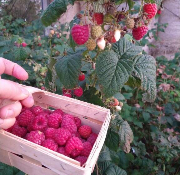 ベッドアンドブレックファースト Agroturystyka Cold Sea