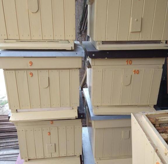 ベッドアンドブレックファースト Agroturystyka Cold Sea