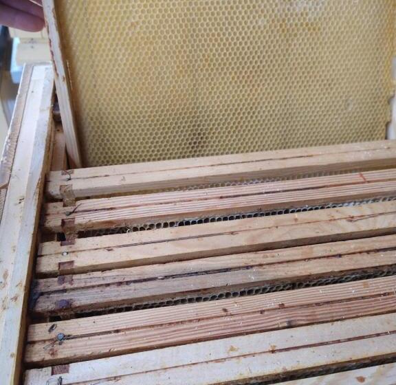 ベッドアンドブレックファースト Agroturystyka Cold Sea