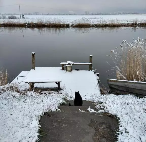 Aamiaismajoitus (B&B) Agroturystyka Cold Sea