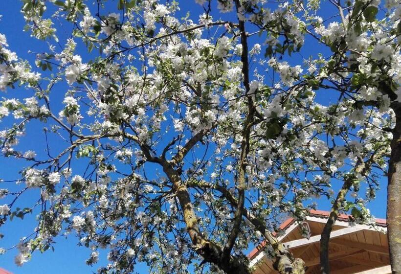 ベッドアンドブレックファースト Agroturystyka Cold Sea