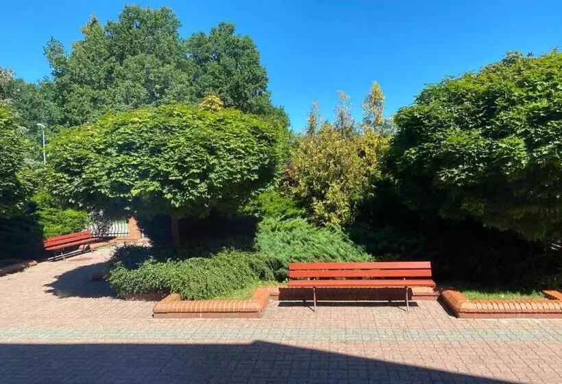 Aamiaismajoitus (B&B) Ośrodek Gwiazda Morza