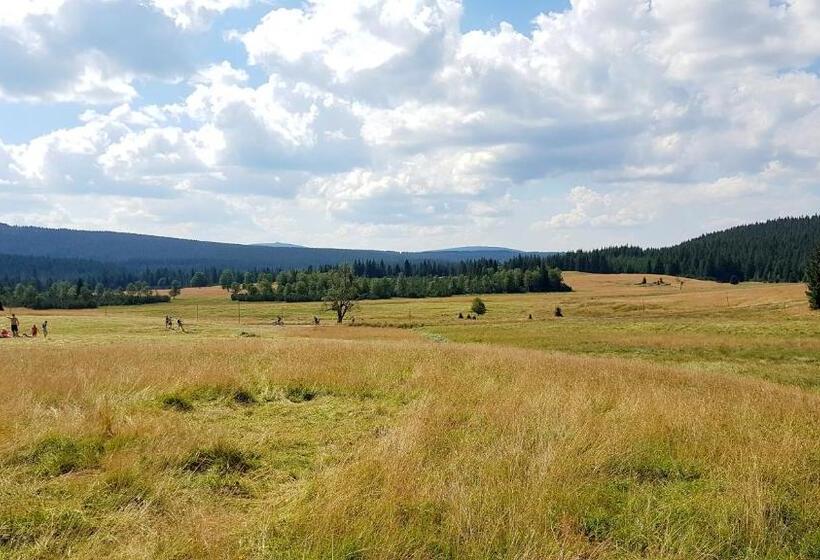 هتل Agroturystyka Dowoli