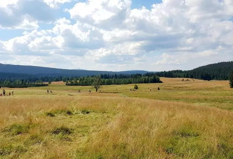 ホテル Agroturystyka Dowoli