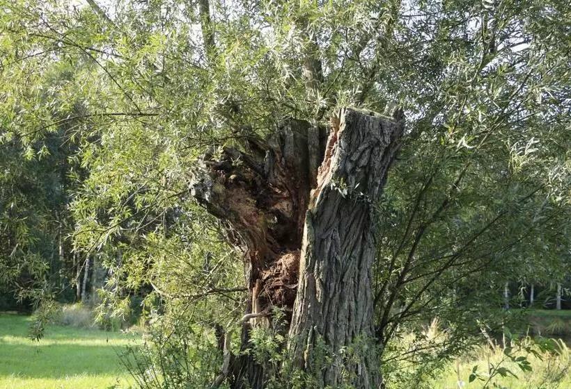 ホテル Agroturystyka żuławiaczek