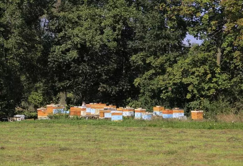 ホテル Agroturystyka żuławiaczek