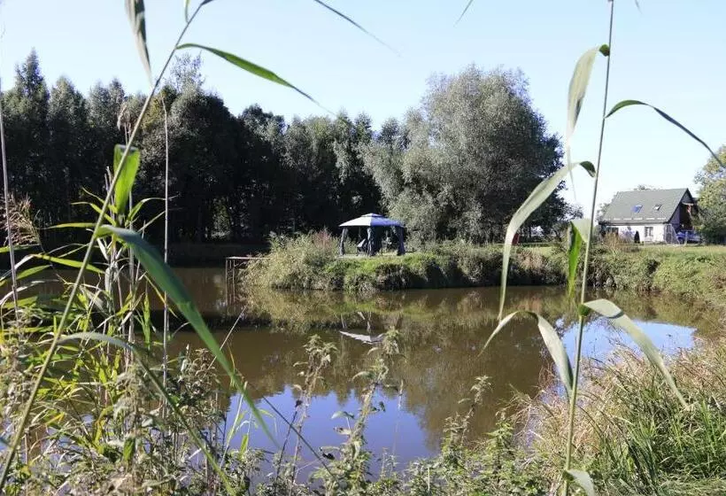 ホテル Agroturystyka żuławiaczek