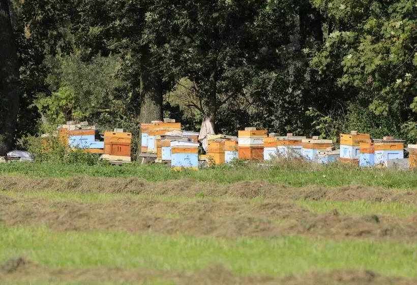 ホテル Agroturystyka żuławiaczek
