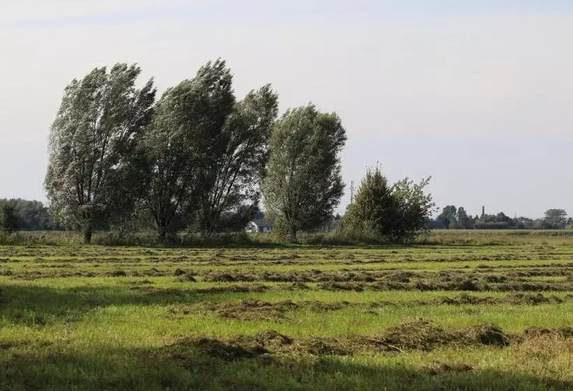 ホテル Agroturystyka żuławiaczek