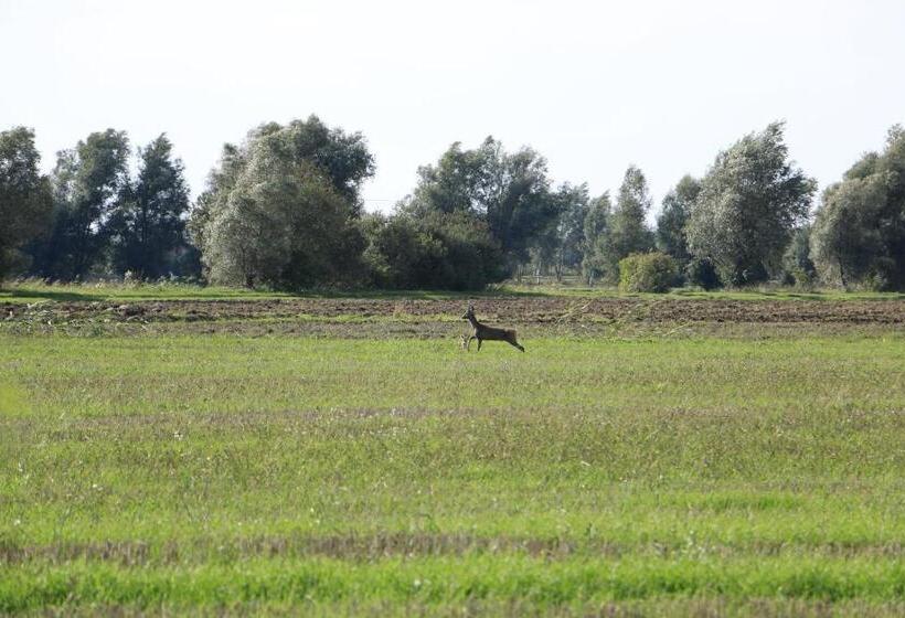 호텔 Agroturystyka żuławiaczek