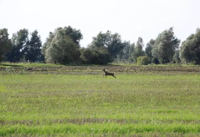 ホテル Agroturystyka żuławiaczek