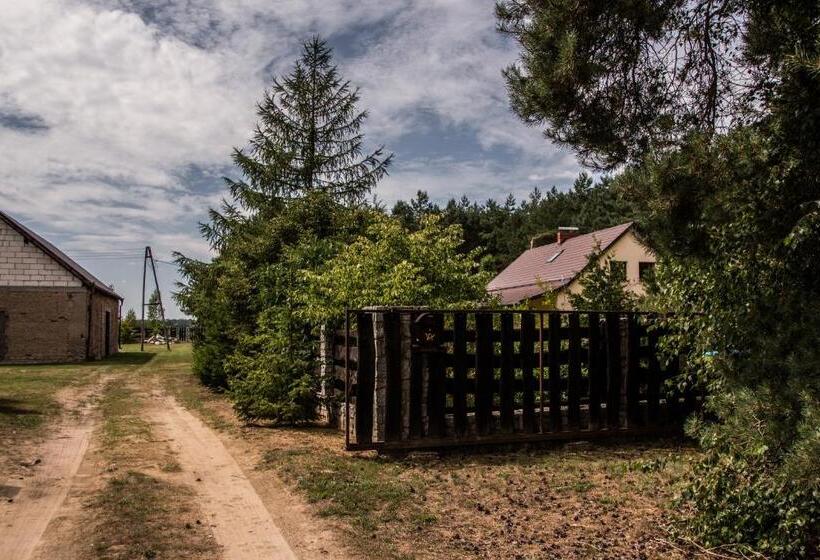 酒店 Dom Przy Rezerwacie