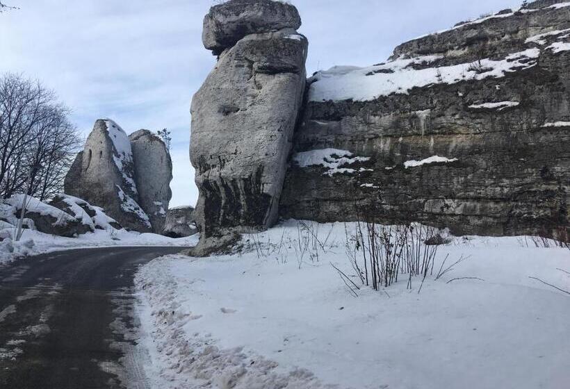 酒店 Pokoje Przy Zamku