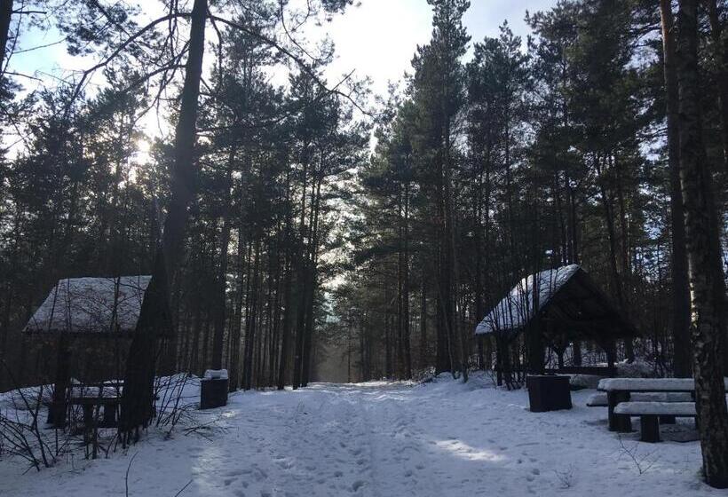 酒店 Pokoje Przy Zamku