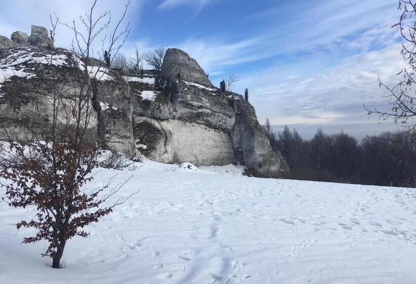 酒店 Pokoje Przy Zamku