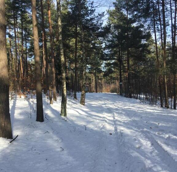 酒店 Pokoje Przy Zamku