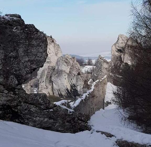 酒店 Pokoje Przy Zamku