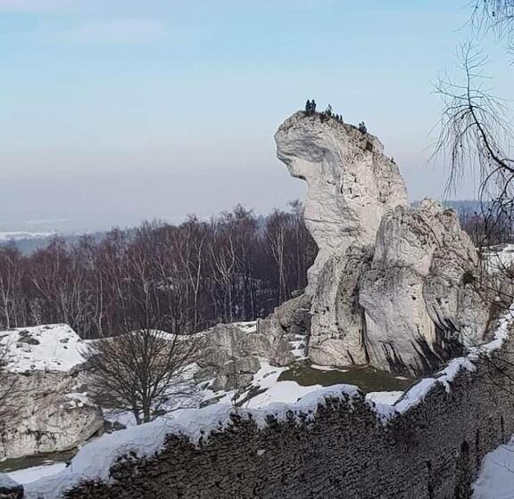 酒店 Pokoje Przy Zamku