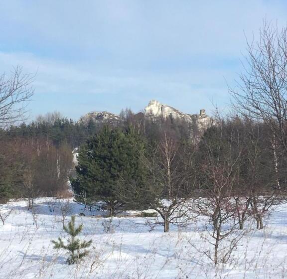 酒店 Pokoje Przy Zamku