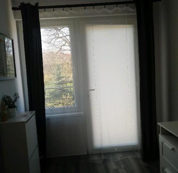 酒店 Pokoje Przy Zamku