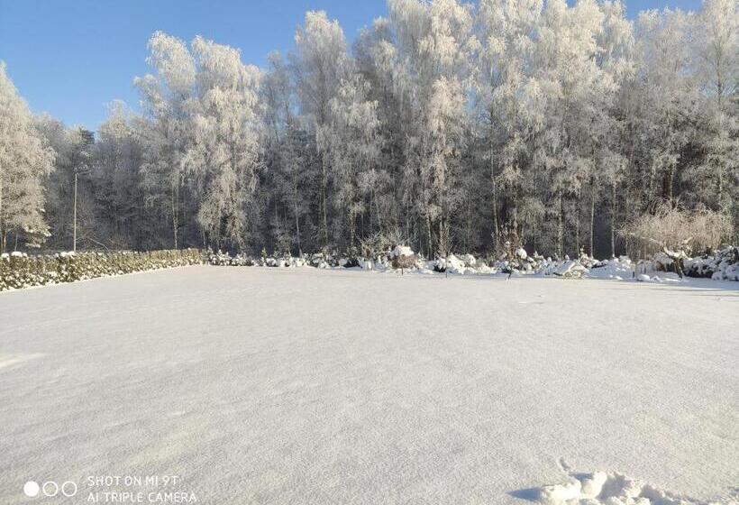 בית מלון כפרי Reza