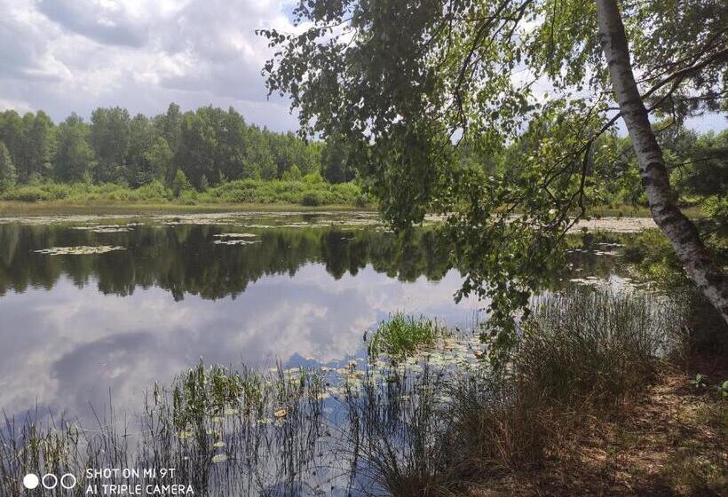 בית מלון כפרי Reza