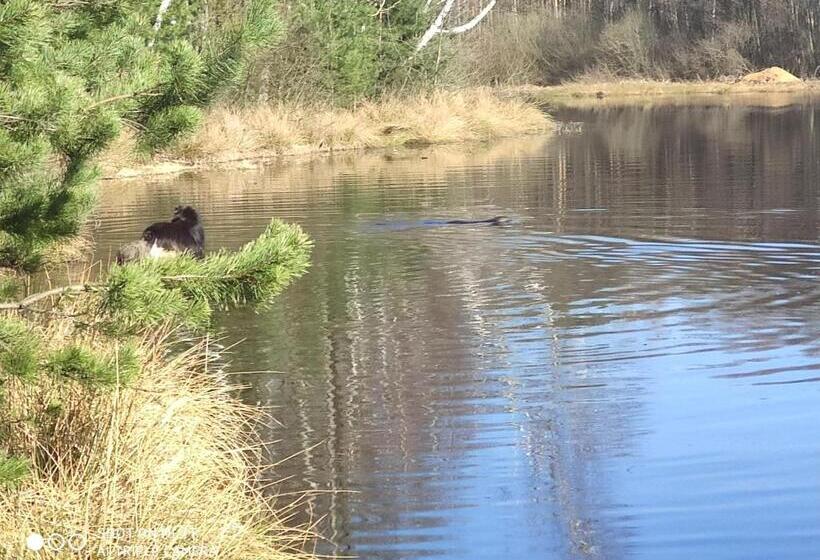בית מלון כפרי Reza