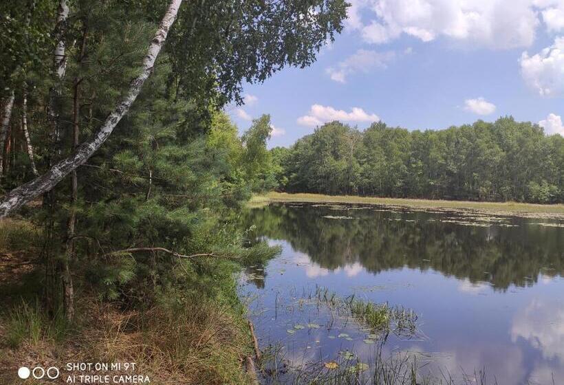 בית מלון כפרי Reza