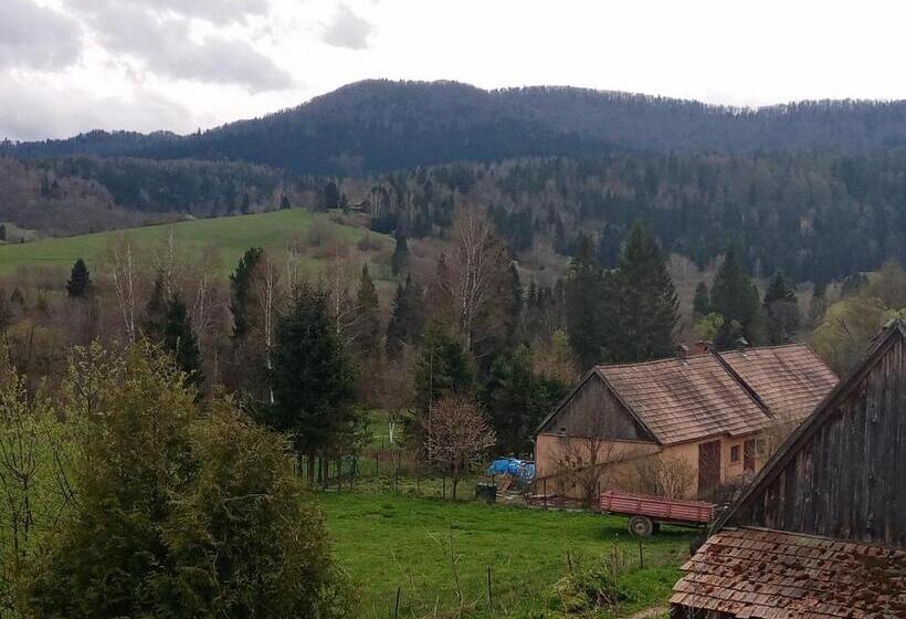 בית מלון כפרי Sowinka