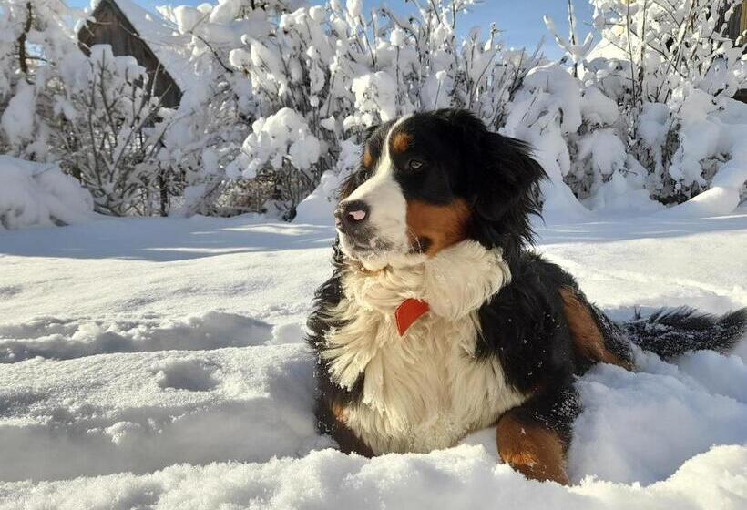 בית מלון כפרי Sowinka