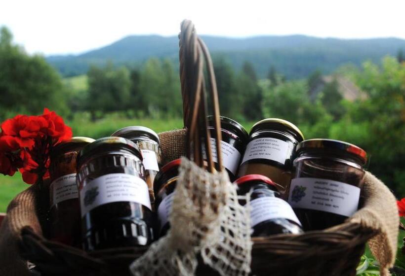 בית מלון כפרי Sowinka