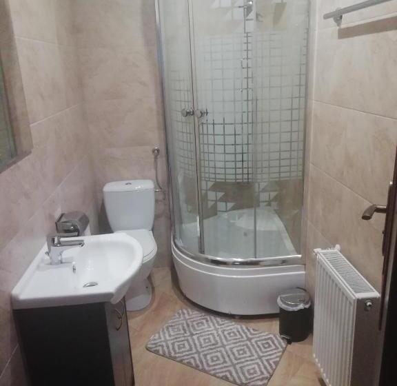 فندق Srebrny świerk