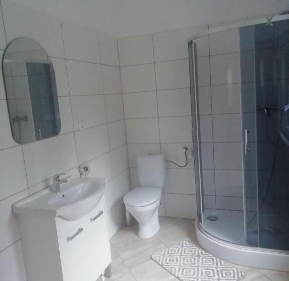 فندق Srebrny świerk