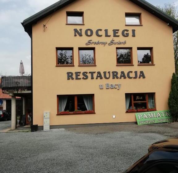 فندق Srebrny świerk