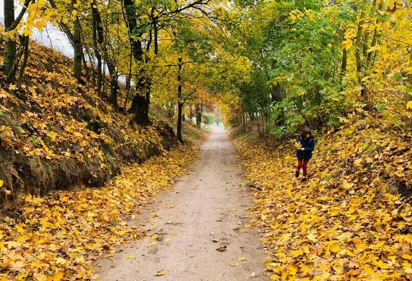 בית מלון כפרי Toskania Kociewska