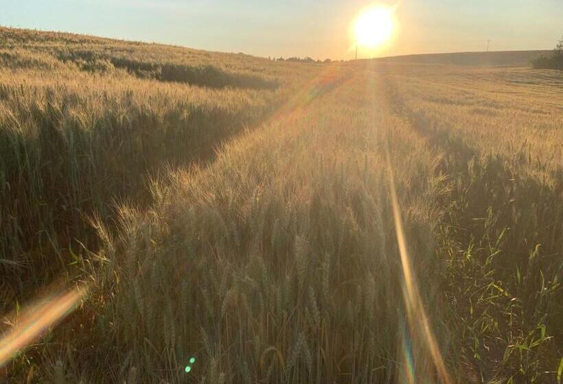 בית מלון כפרי Toskania Kociewska