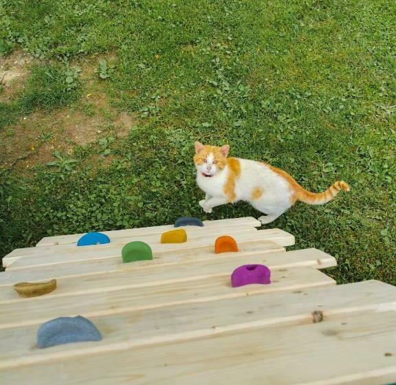 Отель Zakątek Słoneczny Pod Baranią Górą