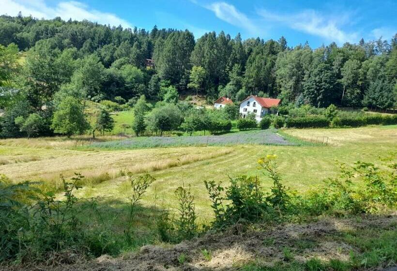 Отель Zakątek Słoneczny Pod Baranią Górą