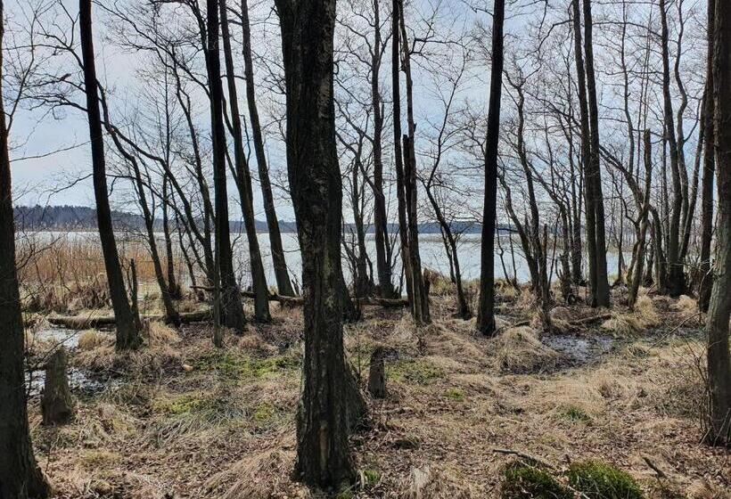 펜션 Mtk Pokoje I Apartamenty