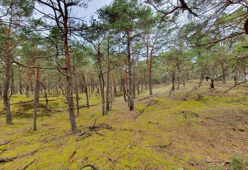 펜션 Mtk Pokoje I Apartamenty