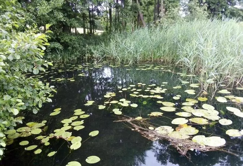 Majatalo Willa Brodnica