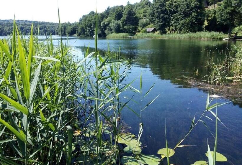 פנסיון Willa Brodnica